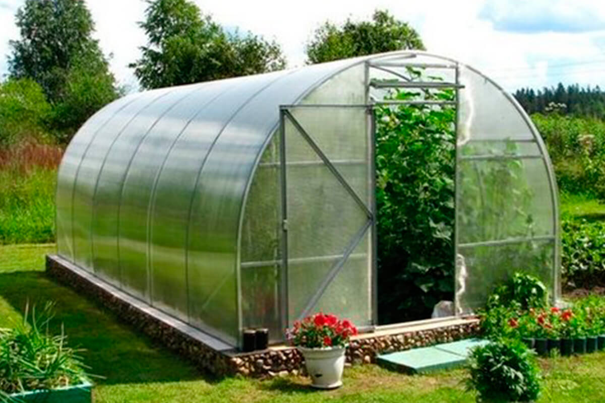 Только у нас! Усиленная теплица для беззаботного использования!